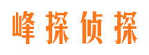 东兰侦探公司